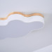 Потолочный светильник CLOUD ECO D50 White