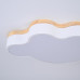 Потолочный светильник CLOUD ECO D50 White