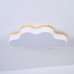 Потолочный светильник CLOUD ECO D50 White