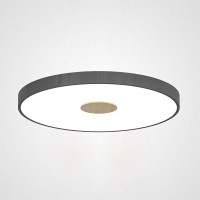 Потолочный светильник CENTRUM D40 Black