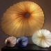 Люстра Aqua Creations Seashell
