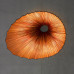 Люстра Aqua Creations Seashell
