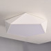 Потолочный светодиодный светильник GEOMETRIC White D40
