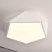 Потолочный светодиодный светильник GEOMETRIC White D40