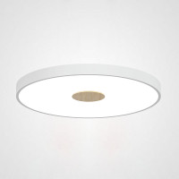 Потолочный светильник CENTRUM D40 White