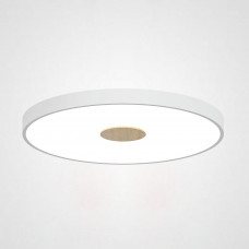 Потолочный светильник CENTRUM D40 White