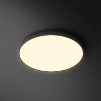 Потолочный светильник DISC BW D30 Black