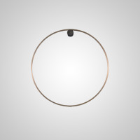 Настенный светильник WILD RING A D30 Brass