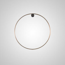 Настенный светильник WILD RING A D30 Brass