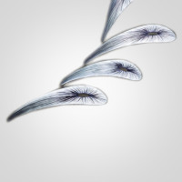 Люстра Aqua Creations Lighting FISH L60