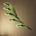 Люстра Aqua Creations Lighting FISH L50