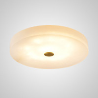 Потолочный светильник SALENA D50