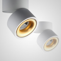 Потолочный светильник AGENDA White+Gold 5W