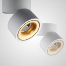 Потолочный светильник AGENDA White+Gold 3W