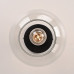 Потолочный светильник RH Utilitaire Globe  Shade Flushmount Black