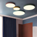 Потолочный светильник DISC COLOR D40 Green