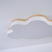 Потолочный светильник CLOUD ECO D83 White