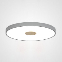 Потолочный светильник CENTRUM D40 Grey