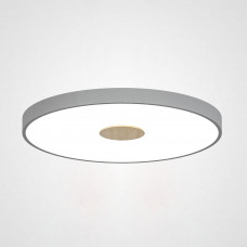 Потолочный светильник CENTRUM D40 Grey