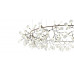 Люстра Mi Heracleum The Big O 160 White