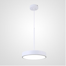 Подвесной светильник TURNA ONE D30 White by ImperiumLoft