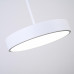 Подвесной светильник TURNA ONE D30 White by ImperiumLoft