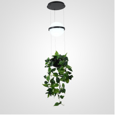 Подвесной светильник PALMA Wall lamp шар + вазон