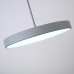 Подвесной светильник TURNA ONE D50 Gray by ImperiumLoft