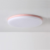 Потолочный светильник DISC HALF D26 Pink