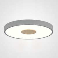Потолочный светильник CENTRUM D30 Grey