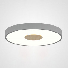 Потолочный светильник CENTRUM D30 Grey