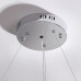 Подвесная люстра CONCORDIA RING D80 2R