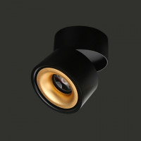 Потолочный светильник AGENDA black+gold 3W