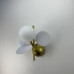 Настенный светильник MATISSE WALL White
