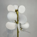 Торшер MATISSE FL 3 White