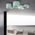 Потолочный светильник HEXAGON A H13 Light green