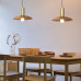 Подвесной светильник WOOD Light brown