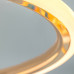 Потолочная люстра AMELIS CH D60