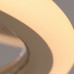 Потолочная люстра AMELIS CH D60