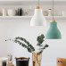 Подвесной светильник SMART Green
