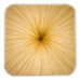 Светильник Aqua Creations Lighting Nara