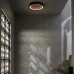Потолочный светильник RODA CH D60 Light brown
