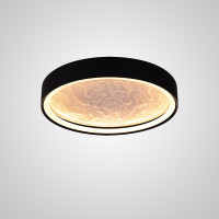 Потолочный светильник RODA CH D50 Acrylic