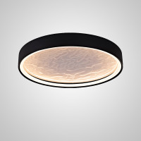 Потолочный светильник RODA CH D60 Acrylic